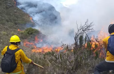 Sernanp anuncia que tienen controlado el 95% de siniestros en reas naturales pr