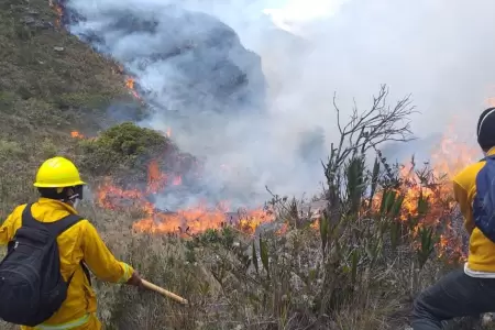 Sernanp anuncia que tienen controlado el 95% de siniestros en reas naturales pr