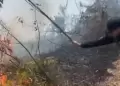 Sujetos detenidos por iniciar incendio forestal.