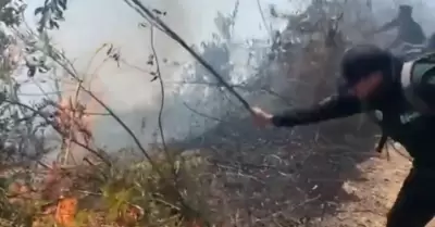 Sujetos detenidos por iniciar incendio forestal.