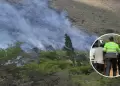 Incendio forestal en Bosque de Carpish: Responsables debern pagar reparacin civil por provocar siniestro