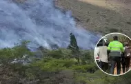 Incendio forestal en Bosque de Carpish: Responsables debern pagar reparacin civil por provocar siniestro