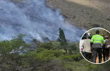 Responsables de incendio forestal en Bosque de Carpish.