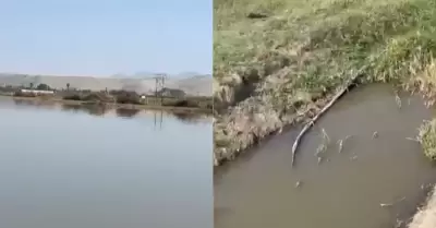 Denuncian que Sedachimbote arroja aguas residuales a canales de regado.