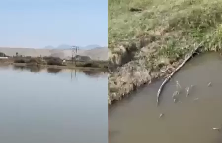 Denuncian que Sedachimbote arroja aguas residuales a canales de regado.