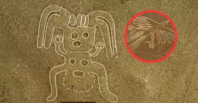 Nuevos geoglifos en Nazca