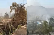 Incendio forestal en Chosica podra reavivarse: Contina la humareda de plantaciones afectadas