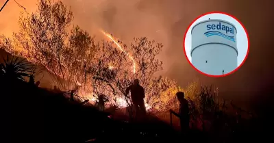 Sedapal garantiza agua para controlar incendios forestales.