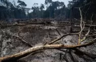 Incendios forestales: Gobierno declara el estado de emergencia en otras tres regiones Cules son?