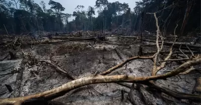 Tres regiones al estado de emergencia