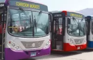 Atencin! ATU implementar cmaras de reconocimiento facial en buses de transporte pblico