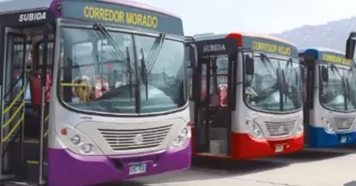 Buses de transporte pblico contarn con cmaras de videovigilancia con reconoci