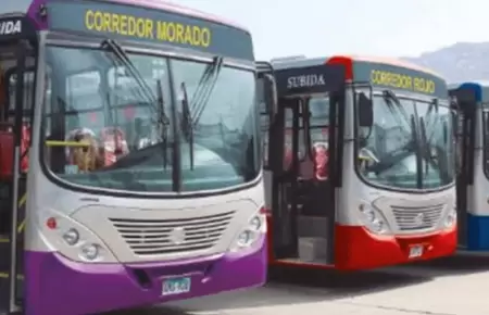 Buses de transporte pblico contarn con cmaras de videovigilancia con reconoci