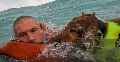 Heroico rescate de un hombre y su amigo peludo en medio del huracn 'Helene'