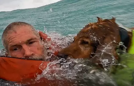 Heroico rescate de un hombre y su amigo peludo en medio del huracn 'Helene'