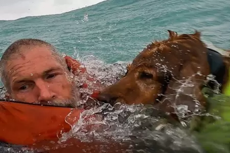 Heroico rescate de un hombre y su amigo peludo en medio del huracn 'Helene'