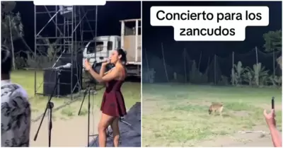 Orquesta toca sin pblico en Piura