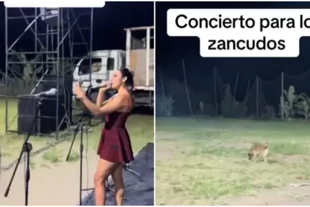 Orquesta toca sin pblico en Piura