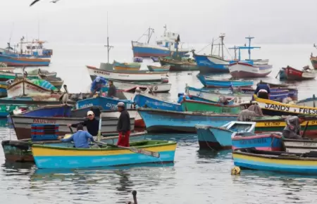 Pescadores protestan por ingreso de barcos chinos.