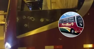 Balean vehculo de empresa interprovincial Perbus en la Panamericana Sur