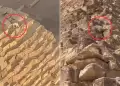 INCREBLE! Perrito es captado en la cima de PIRMIDE en Egipto y las redes estallan: "Tutanperrn"