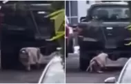 Maltrato animal extremo: Hombre arrastra a un perrito atado a su camioneta y genera una ola de indignacin