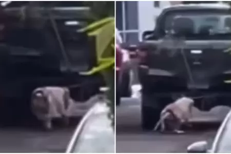 Hombre arrastra a un perrito atado a su camioneta