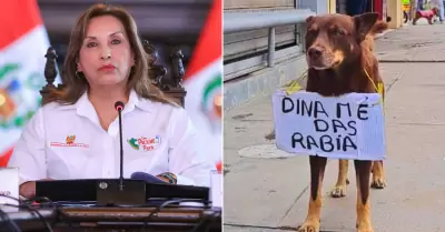 Perrito particip en paro y se vuelve viral.