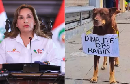 Perrito particip en paro y se vuelve viral.