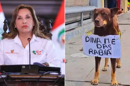 Perrito particip en paro y se vuelve viral.