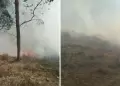 Urgente! Reportan incendios forestales en valle turstico de Canta: "No contamos con auxilio"