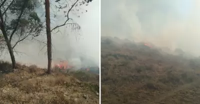 Incendios forestales en Canta.