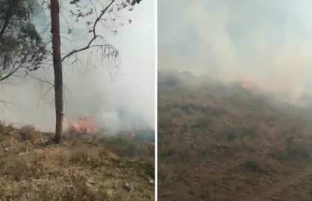 Incendios forestales en Canta.