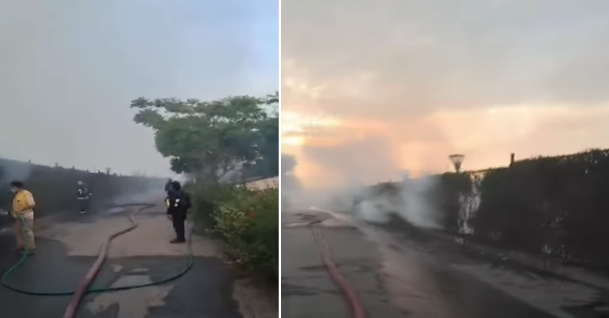 Incendio forestal en Parque de las Leyendas de Huachipa - Fuente: TV Per