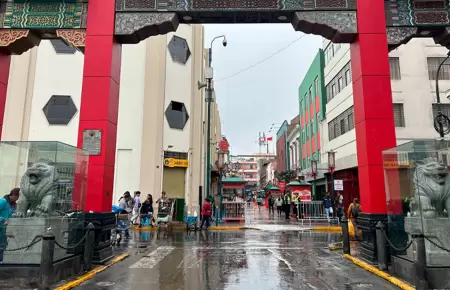 Leones del Barrio Chino protegidos con urnas de vidrio en Cercado de Lima.