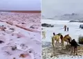 "Es el fin": Desierto de Arabia Saudita aparece cubierta de NIEVE por primera vez en su historia