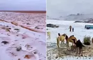 "Es el fin": Desierto de Arabia Saudita aparece cubierto de NIEVE por primera vez en su historia