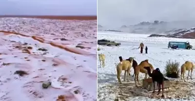 Desierto de Arabia Saudita aparece con nieve.