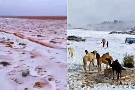 Desierto de Arabia Saudita aparece con nieve.