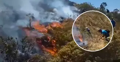 Incendios forestales en Piura.