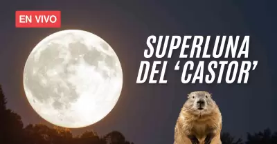 ltima superluna del ao.