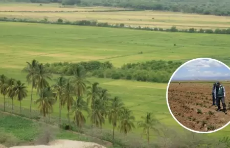 Agricultores de Sullana envan mensaje a Dina Boluarte.