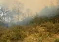 Piura: Lamentable! Adulto mayor pierde la vida por incendio forestal en Morropn