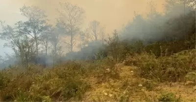 Reportan fallecido por incendio forestal.