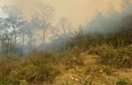 Reportan fallecido por incendio forestal.