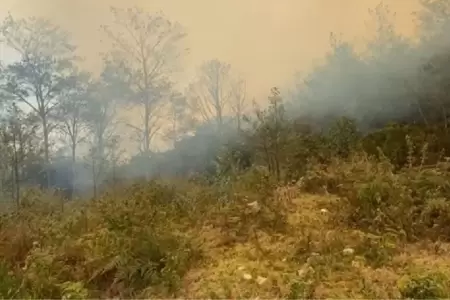 Reportan fallecido por incendio forestal.