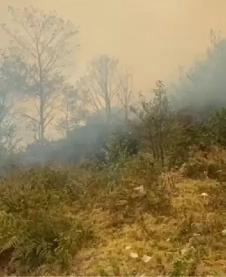 Reportan fallecido por incendio forestal.