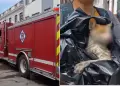 Cercado de Lima: Incendio consume vivienda y deja una persona afectada y a un gatito con quemaduras