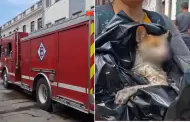 Cercado de Lima: Incendio consume vivienda y deja una persona afectada y a un gatito con quemaduras