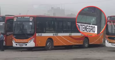 Disparan contra bus de la empresa de transporte 'Las Flores'.